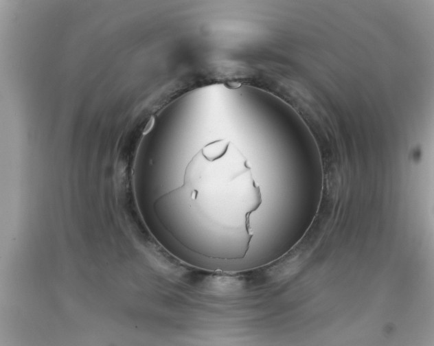 X0000091950327200709131209