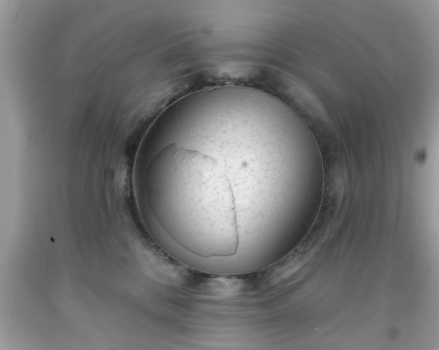 X0000091950328200709131209