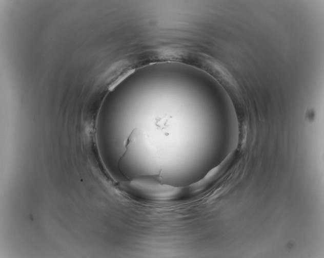 X0000091950329200709131209