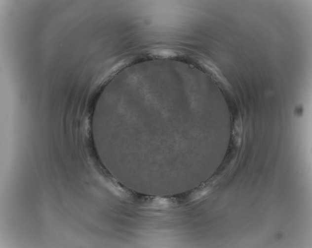 X0000091950330200709131209