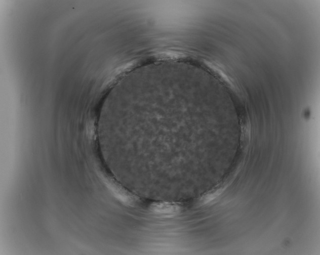 X0000091950331200709131209