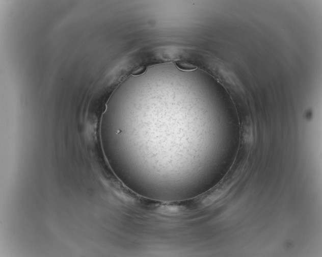 X0000091950332200709131209