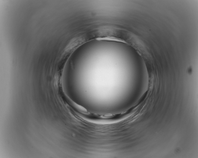 X0000091950333200709131209