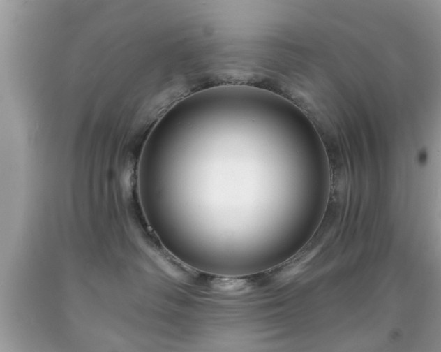 X0000091950334200709131209