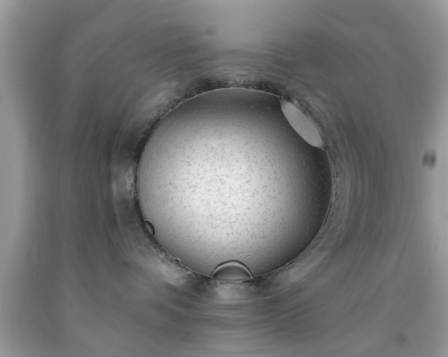 X0000091950336200709131209