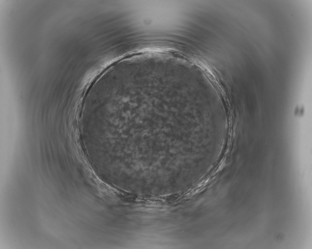 X0000091950337200709131208