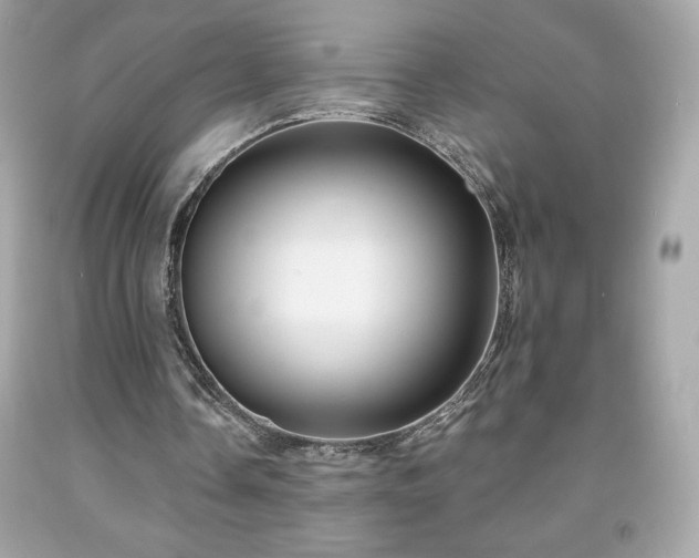 X0000091950338200709131208