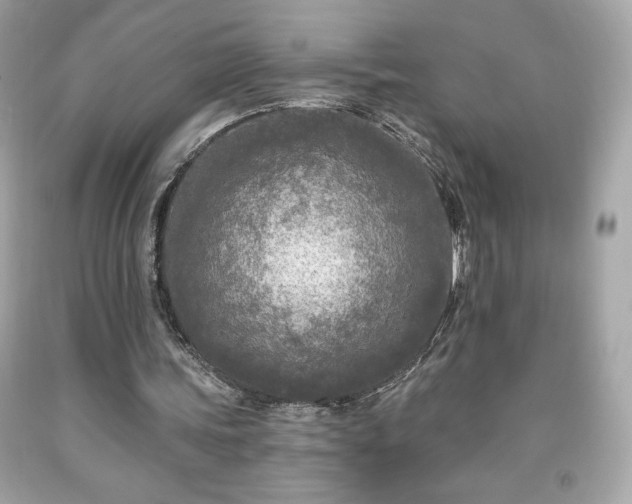 X0000091950339200709131208