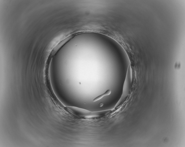 X0000091950340200709131208