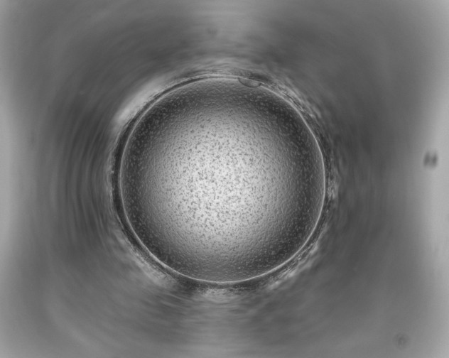 X0000091950341200709131208