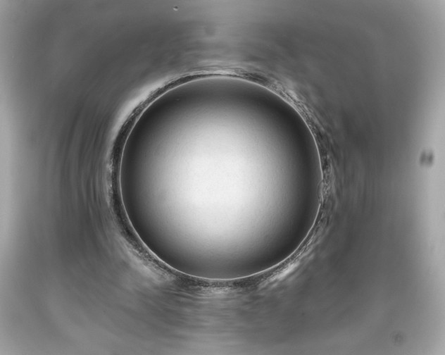 X0000091950342200709131208