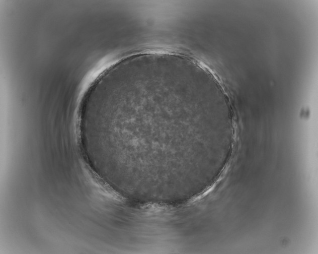 X0000091950343200709131208