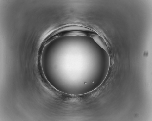 X0000091950344200709131208