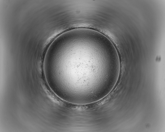 X0000091950345200709131208