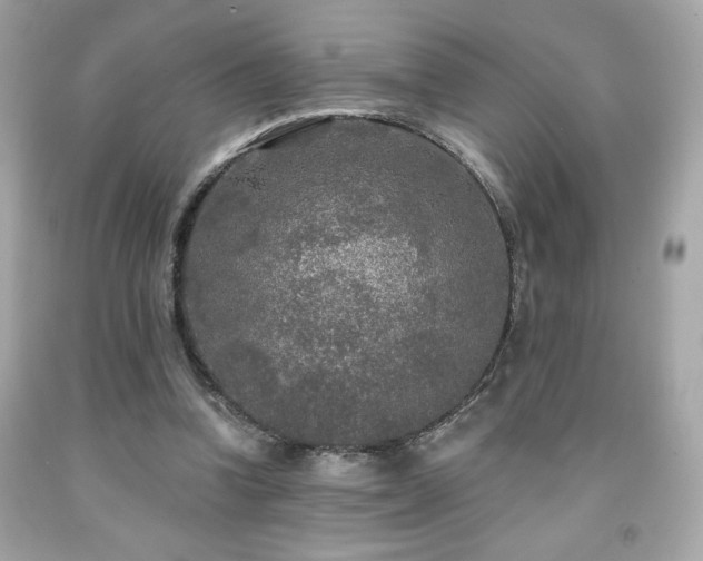 X0000091950346200709131208