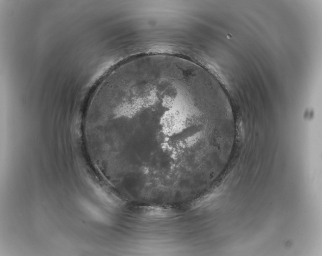 X0000091950347200709131208