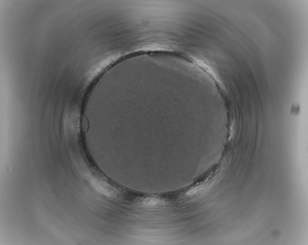 X0000091950348200709131208