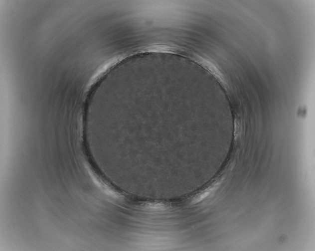 X0000091950349200709131208