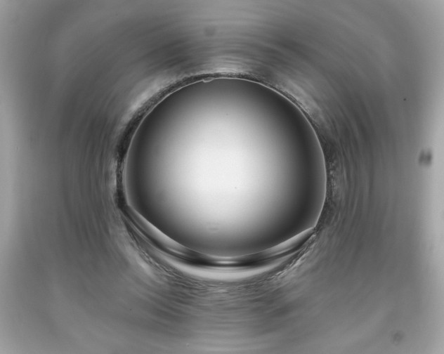 X0000091950350200709131208