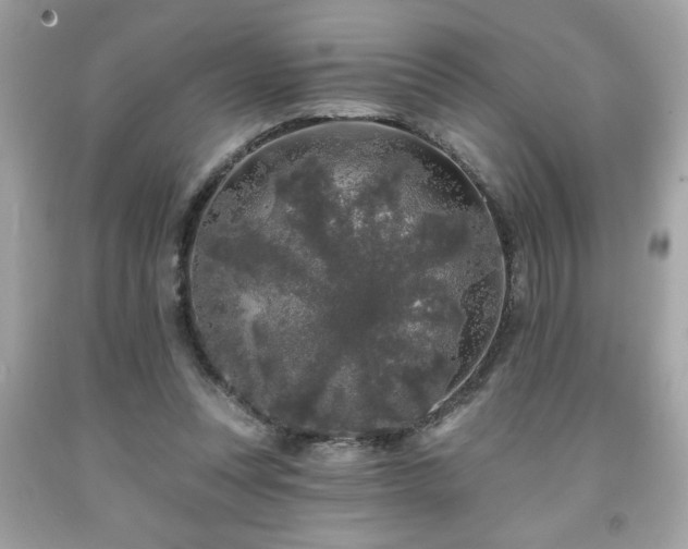 X0000091950351200709131208