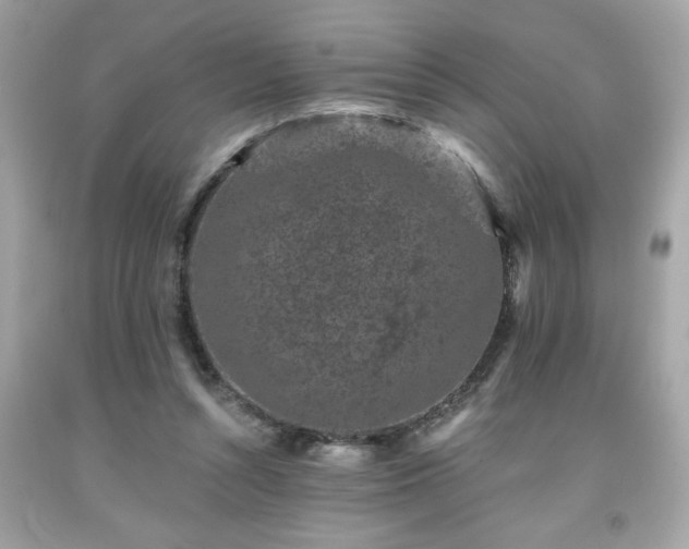 X0000091950352200709131208