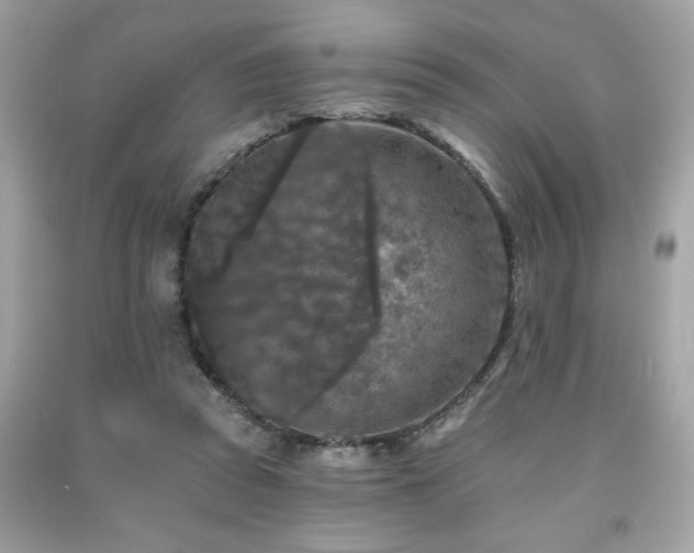 X0000091950353200709131208