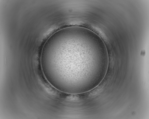 X0000091950354200709131208