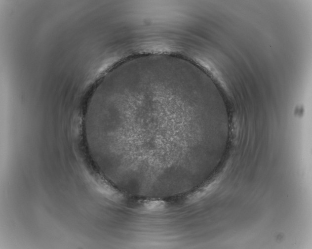 X0000091950355200709131208