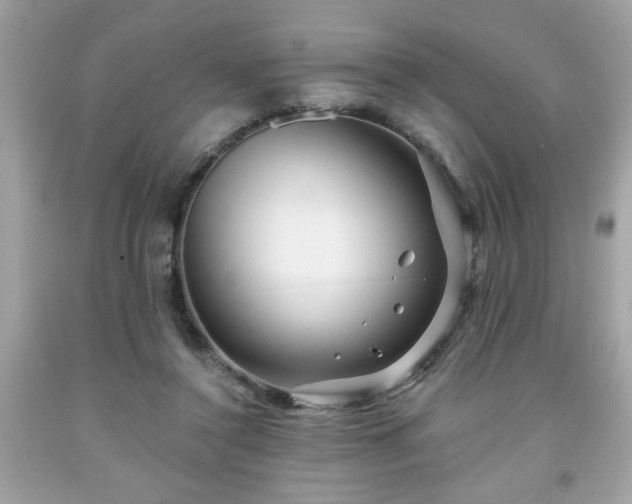 X0000091950356200709131208