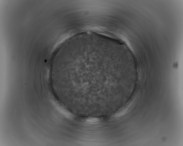 X0000091950357200709131208