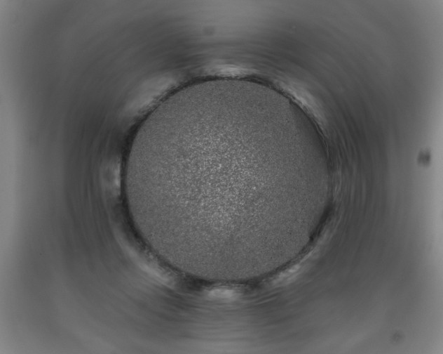 X0000091950358200709131208