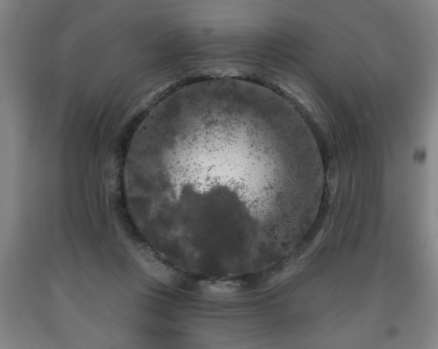 X0000091950359200709131208