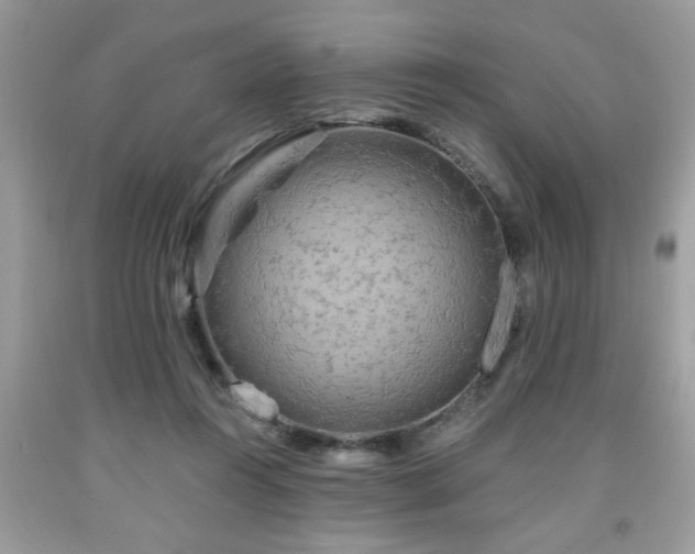 X0000091950360200709131208