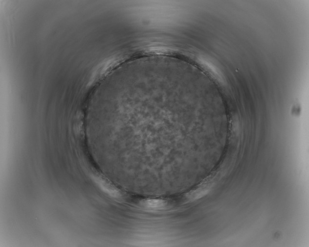 X0000091950361200709131208