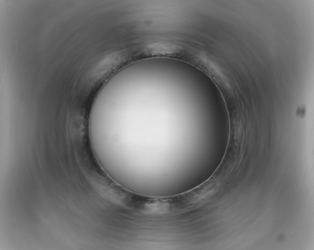 X0000091950362200709131208