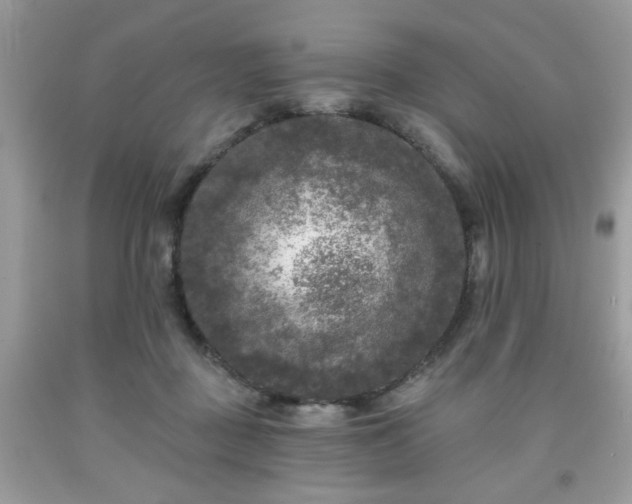 X0000091950363200709131208