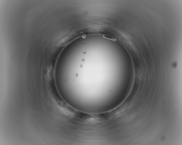 X0000091950364200709131208