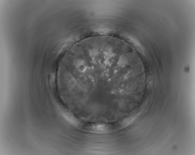 X0000091950365200709131208