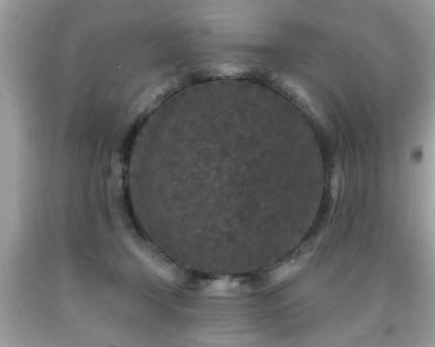 X0000091950366200709131208