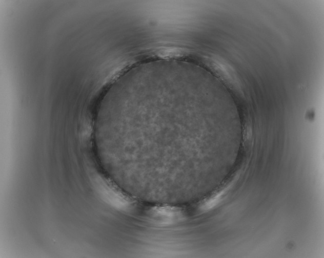 X0000091950367200709131208