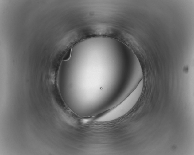 X0000091950368200709131208