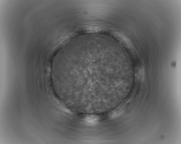 X0000091950369200709131208