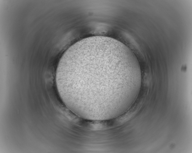 X0000091950370200709131209