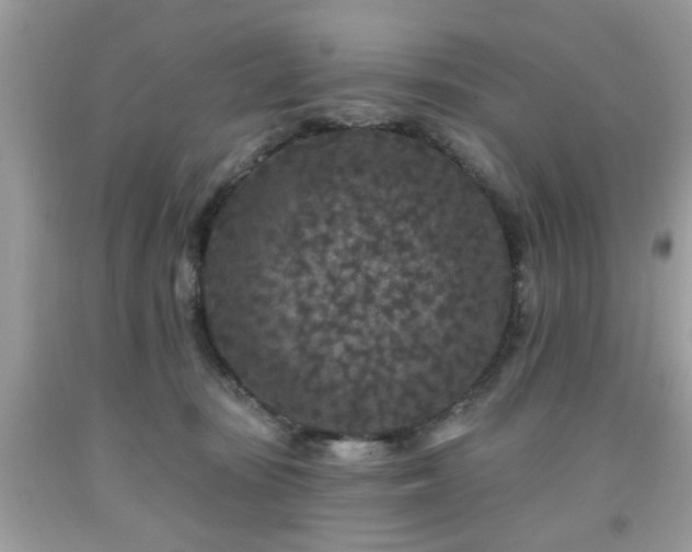 X0000091950371200709131209