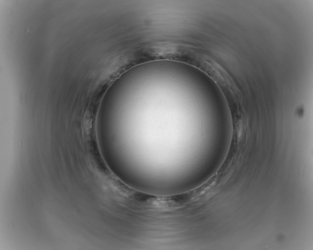 X0000091950372200709131209