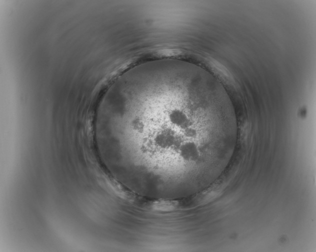 X0000091950373200709131209