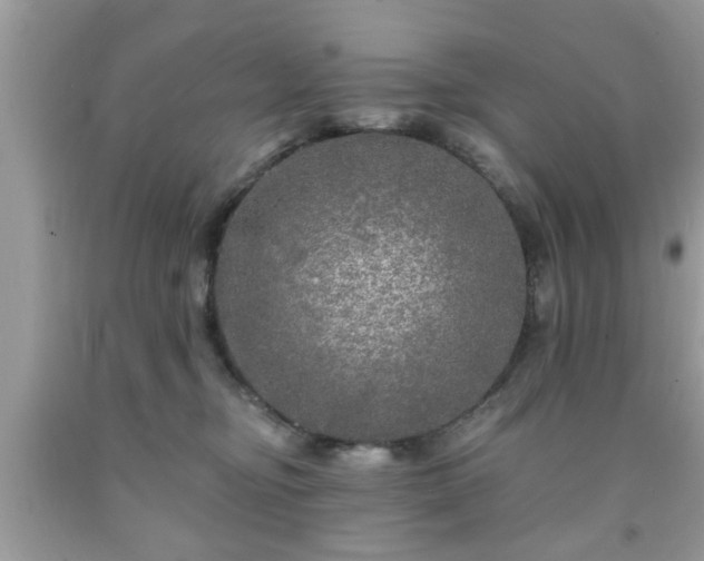 X0000091950374200709131209