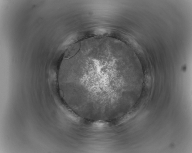 X0000091950375200709131209