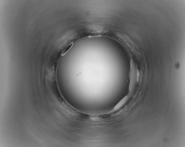 X0000091950376200709131209