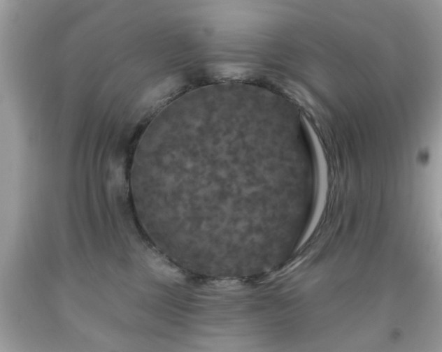 X0000091950377200709131209